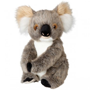 Koala Soft Toy. Real Looking Koala - 21cm