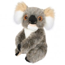 Lovely Soft Koala Toy - Adelaide, 21cm