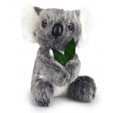 Plush Koala, Made in Australia, 20cm