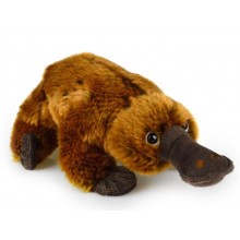 Delux Platypus Toy, 33cm
