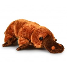 Stuffed Platypus Toy - Pancho - 17cm