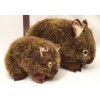 Wombat Soft Toy - Russell - 30cm