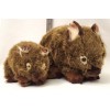 Wombat Small Soft Toy - Tubby - 25cm